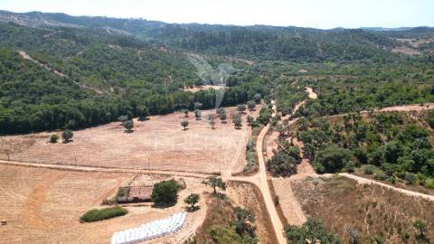 Herdade com 36,9000 ha a 3 km do pego das pias