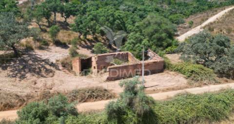 Herdade com 36,9000 ha a 3 km do pego das pias