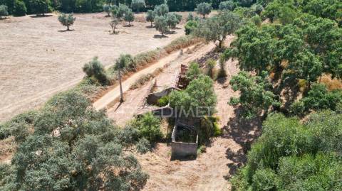 Herdade com 36,9000 ha a 3 km do pego das pias