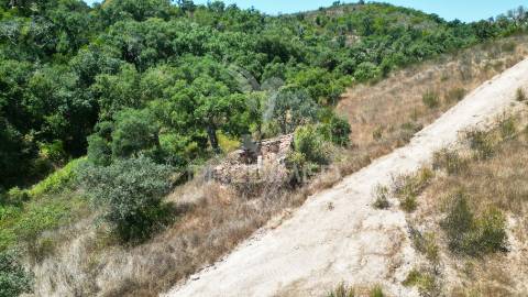 Herdade com 36,9000 ha a 3 km do pego das pias