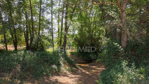 Herdade com 36,9000 ha a 3 km do pego das pias