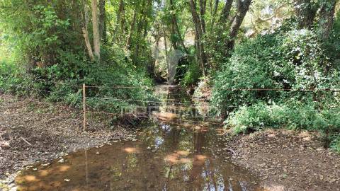 Herdade com 36,9000 ha a 3 km do pego das pias