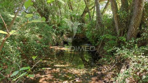 Herdade com 36,9000 ha a 3 km do pego das pias