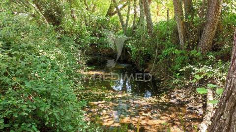 Herdade com 36,9000 ha a 3 km do pego das pias