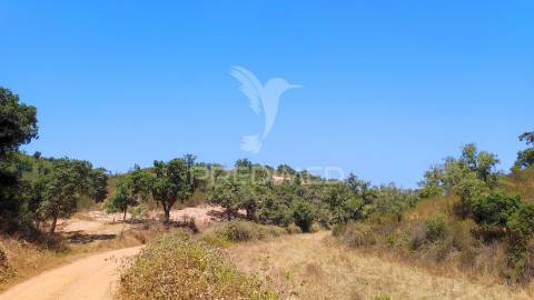 Herdade com 36,9000 ha a 3 km do pego das pias
