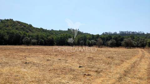 Herdade com 36,9000 ha a 3 km do pego das pias