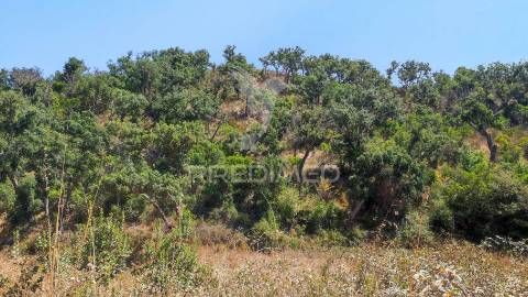 Herdade com 36,9000 ha a 3 km do pego das pias