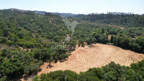 Herdade com 36,9000 ha a 3 km do pego das pias