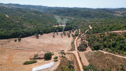 Herdade com 36,9000 ha a 3 km do pego das pias