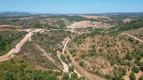 Herdade com 36,9000 ha a 3 km do pego das pias