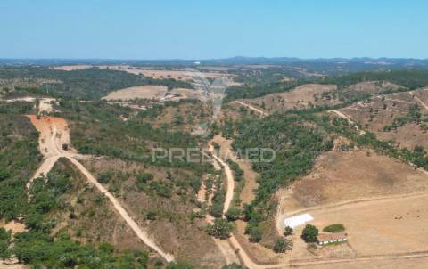 Herdade com 36,9000 ha a 3 km do pego das pias