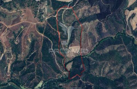 Herdade com 36,9000 ha a 3 km do pego das pias