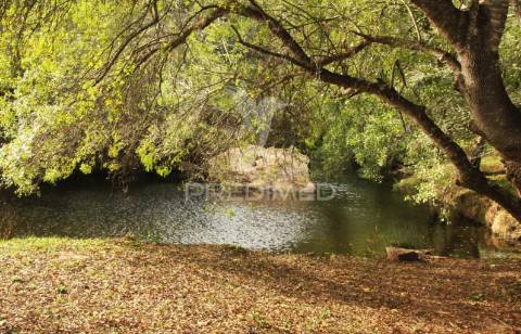 Herdade com 36,9000 ha a 3 km do pego das pias