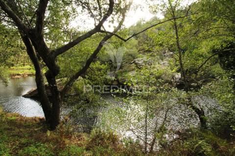 Herdade com 36,9000 ha a 3 km do pego das pias