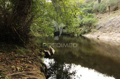 Herdade com 36,9000 ha a 3 km do pego das pias