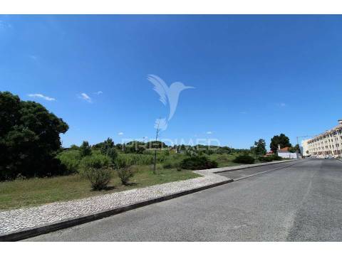 Santarém - lotes de prédio em urbanização de referência