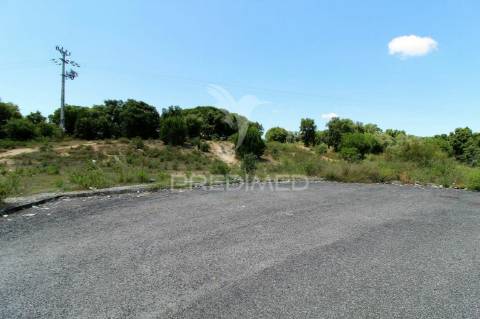 Lote de prédio em santarém