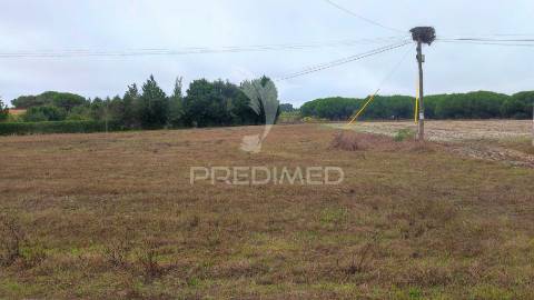 Terreno rústico em castanhal, boavista dos pinheiros