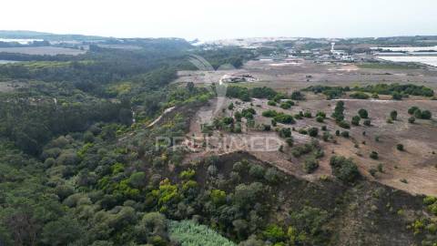 Quinta com 9,5650 ha em zambujeira do mar