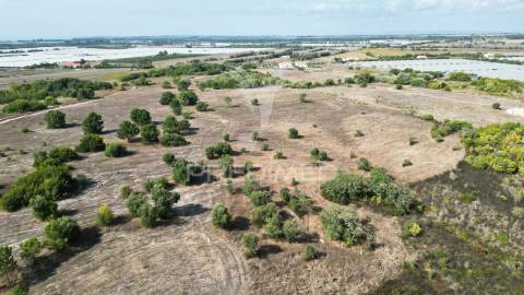 Quinta com 9,5650 ha em zambujeira do mar
