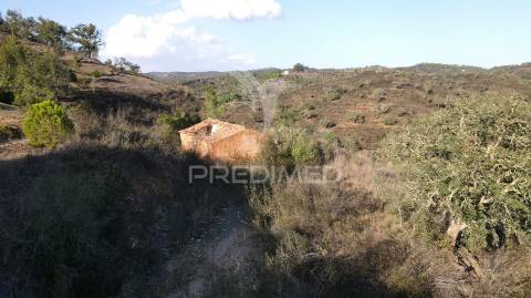 Quinta com 1,0250 ha e uma ruína em luzianes gare