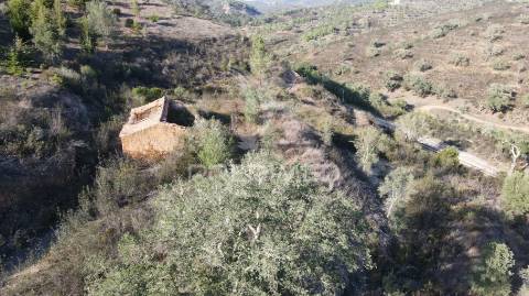 Quinta com 1,0250 ha e uma ruína em luzianes gare