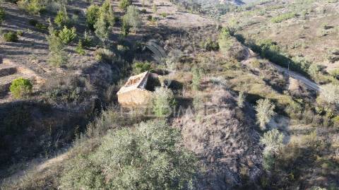 Quinta com 1,0250 ha e uma ruína em luzianes gare