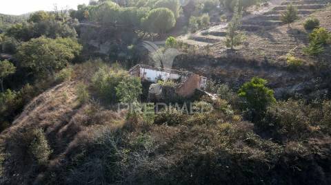 Quinta com 1,0250 ha e uma ruína em luzianes gare