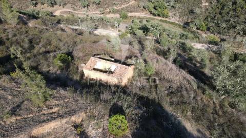 Quinta com 1,0250 ha e uma ruína em luzianes gare