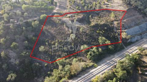 Quinta com 1,0250 ha e uma ruína em luzianes gare