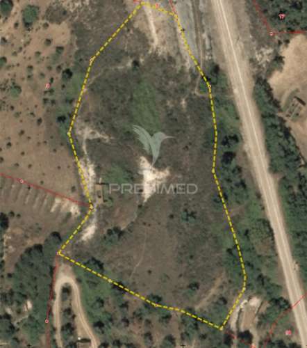 Quinta com 1,0250 ha e uma ruína em luzianes gare