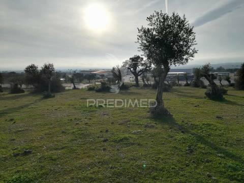 Terreno para construção na herdade cabaça nova (portalegre)