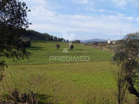 Quinta trás dos montes