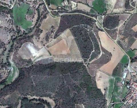 Quinta trás dos montes