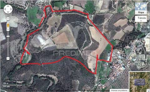 Quinta trás dos montes