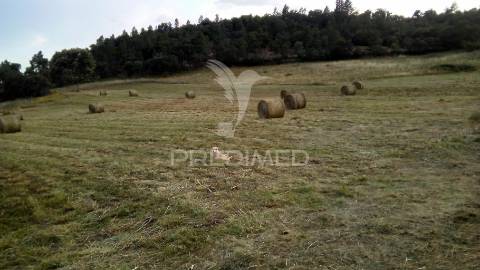Quinta trás dos montes