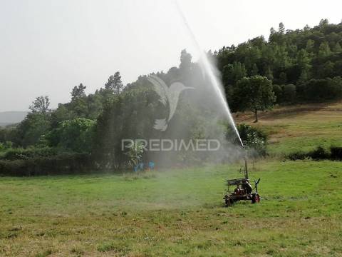 Quinta trás dos montes