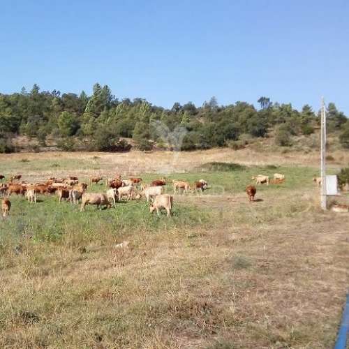 Quinta trás dos montes