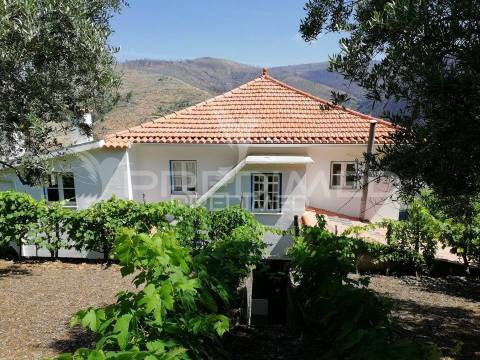 Arganil. quintinha 8 assoalhadas na serra do açor