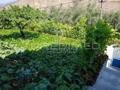 Arganil. quintinha 8 assoalhadas na serra do açor