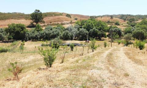 Terreno c/projeto para área serv. de autocaravanas