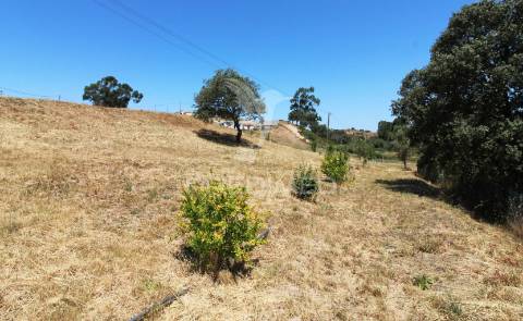 Terreno c/projeto para área serv. de autocaravanas