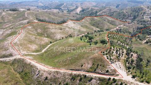 Quinta com 9,6750 ha a 25 km da praia da zambujeira