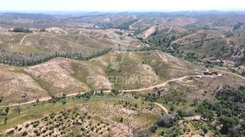 Quinta com 9,6750 ha a 25 km da praia da zambujeira