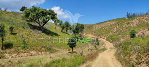 Quinta com 9,6750 ha a 25 km da praia da zambujeira