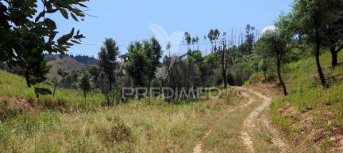 Quinta com 9,6750 ha a 25 km da praia da zambujeira