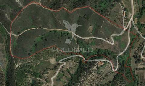 Quinta com 9,6750 ha a 25 km da praia da zambujeira