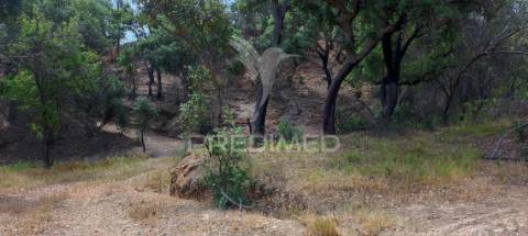 Quinta com 9,6750 ha a 25 km da praia da zambujeira