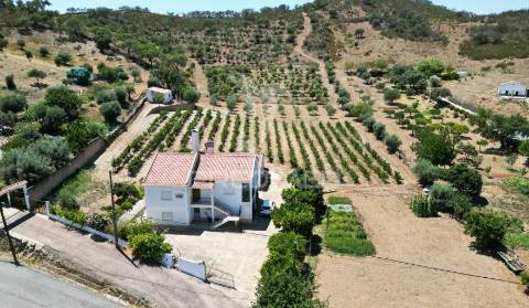 Quinta com 2,3000 hectares em vale de santiago