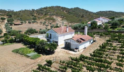 Quinta com 2,3000 hectares em vale de santiago